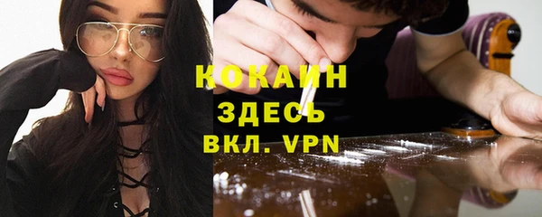 шишки Козельск