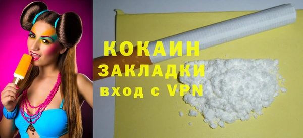 шишки Козельск