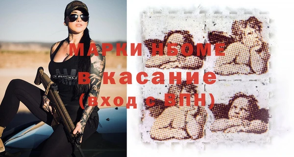 шишки Козельск