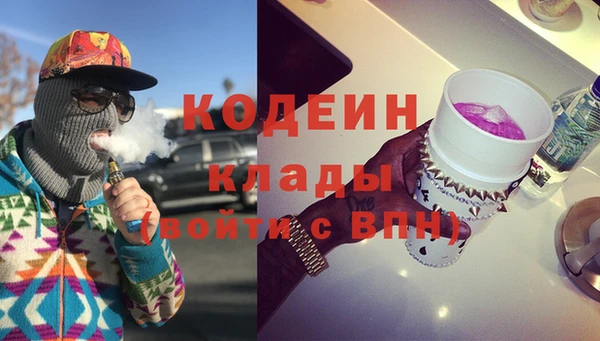 шишки Козельск