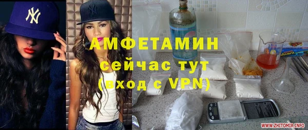 шишки Козельск