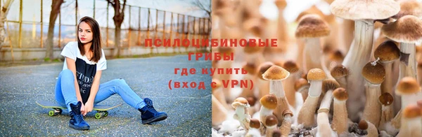ALPHA-PVP Кодинск
