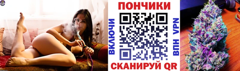 Купить  Губаха  Каннабис сатива 